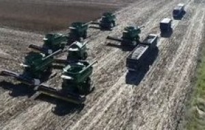 Правове свавілля на полях Харківщини: у гонитві за чужим врожаєм...