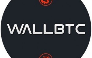 Крупнейший в СНГ обменник WallBTC рассказал, как повлияет легализация криптовалют на пользователей и российский крипторынок