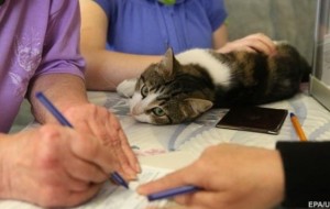 Уже обработано более 95% бюллетеней. Часть из них испорчены