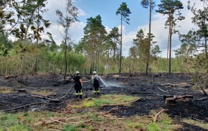 В Германии случился пожар 500 гектаров леса