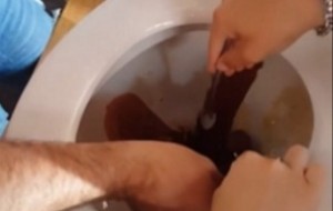 Деякі ресторани обирають досить дивні способи сервіровки