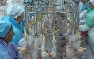 Рейтинг найгірших професії в Україні