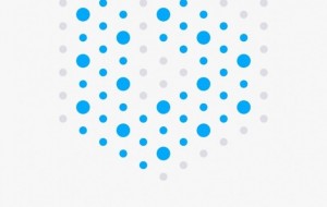 Что может платформа BIT.TEAM?