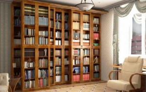 Как выбрать книжный шкаф