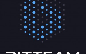 Теперь вы можете разместить свой токен на Bit.team.