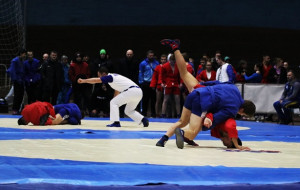 У Львові пройде чемпіонат України з самбо.